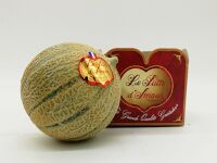 Melon Puits d'Amour cal 11